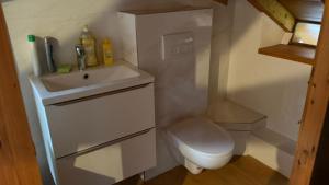 House with garden in the city center