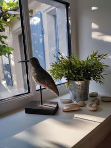 Maisons de vacances Maison de charme proche plage et foret a pied : photos des chambres