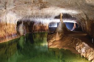 Maisons d'hotes Roulottes au pied du Vercors : photos des chambres