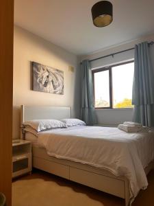 Newbridge - Millfield