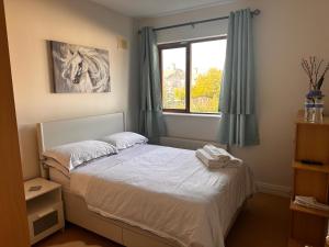 Newbridge - Millfield