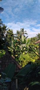 Umah mimpi deluxe room