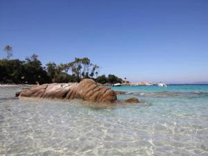 Villas Villa in Languedoc with Pool near Historic Cities : photos des chambres