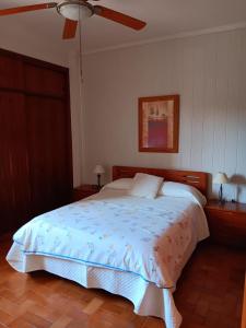 Elysian House - Albanias Coast