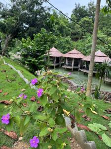 Thác Mây Lau retreat
