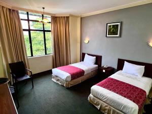 Hotel Damai