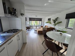 Home in the dancing forest