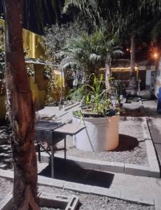 Casa Grande Familiar en Rosarito