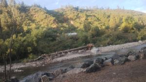 La Polcura Lodge Turismo -Fishing Lodge & Spa