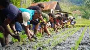 New Daniel Lodge & Travel