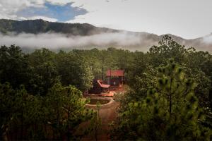 Cabaña Venado refugio en el bosque para 3 personas