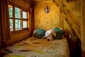 Cabaña Venado refugio en el bosque para 3 personas