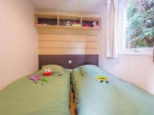 Mobil-home confortable avec terrasse à Pezuls - API-1-52-683