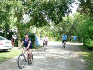 Campings Mobil-home 4 pers avec Terrasse a Chaille-les-Marais - API-1-52-574 : photos des chambres