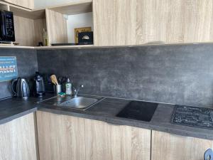 Appartements Appartement cosy 4 pers avec parking a Cohennoz - FR-1-733-171 : photos des chambres
