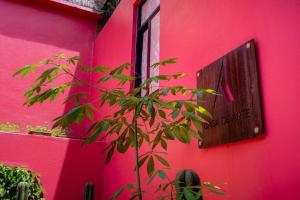 Hotel Boutique CASA DE ARTE