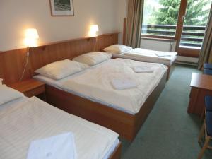 Quadruple Room with Balcony room in Parkhotel Harrachov