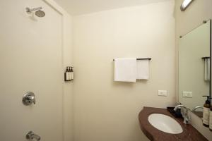 The Palm House - Coworking and Coliving Community