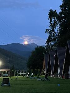 Căsuțele de sub pădure