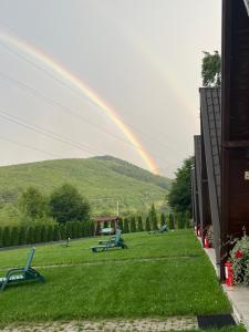 Căsuțele de sub pădure