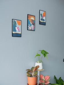 Borrii House โบ ลี่ เฮาท์