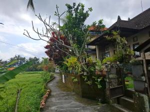 Rumah Nyoman