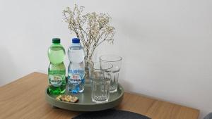 Apartament RYŚ Polanica Zdrój