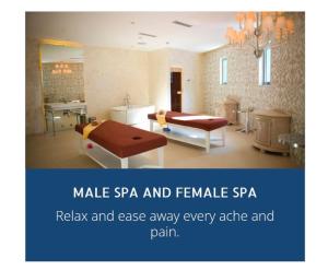 Natalie Staycation Buddies