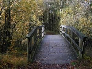 Luxury Lakeside Retreat-By Traum