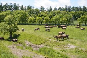 Farm Stay Chiyoda-Sara