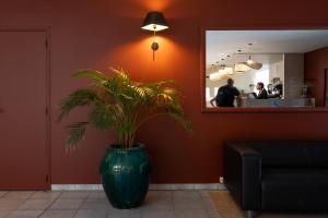 Hotels Golden Tulip Avignon Le Paradou : photos des chambres