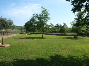 Holiday Home Rosa