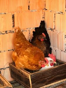 Monte Paradiso Agriturismo