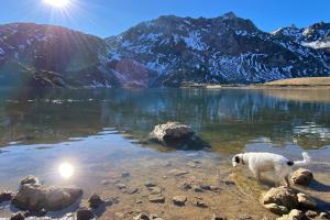 La Casina de Lastres 2
