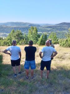 Apartman Teodora Uvac