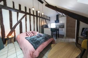 Appartements Studio hyper center of Tours : photos des chambres