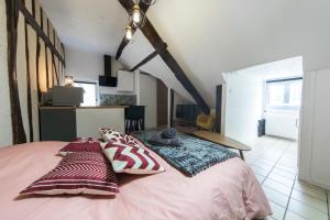 Appartements Studio hyper center of Tours : photos des chambres