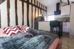 Appartements Studio hyper center of Tours : photos des chambres