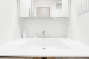 Modern Japanese Private House