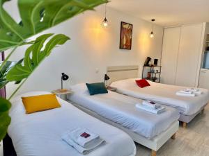 " Studio Zen Lourdes " 4 personnes - Centre Ville