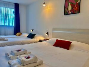 " Studio Zen Lourdes " 4 personnes - Centre Ville