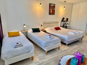 " Studio Zen Lourdes " 4 personnes - Centre Ville