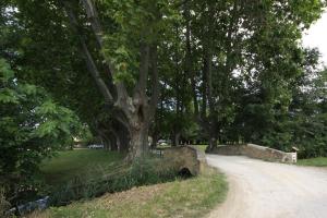 Mas Loisonville - Demeure dexception & Spa en Drôme Provençale
