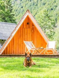 Glamping Radovna pr Klemenak