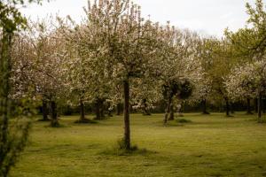 Corneli Residences - Chateau St Gerlach