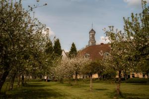Corneli Residences - Château St Gerlach