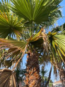Location charmante Bassin dArcachon La Teste de Buch , Gironde , France