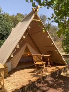 La calma entre naranjos