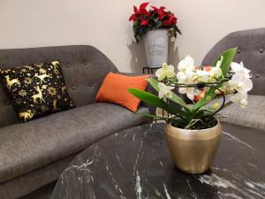 LÉvasion Monestoise