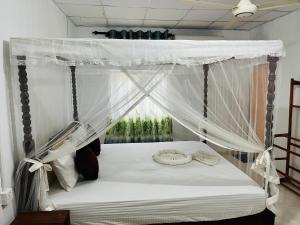 Nature Lovers Inn